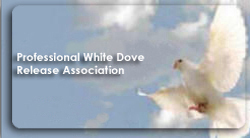 Professional White Dove Release Directory